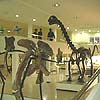 タイのイサーン（東北部）ツアー　恐竜博物館